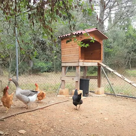 Sa Rota * Bunyola