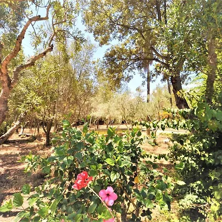 Sa Rota Villa